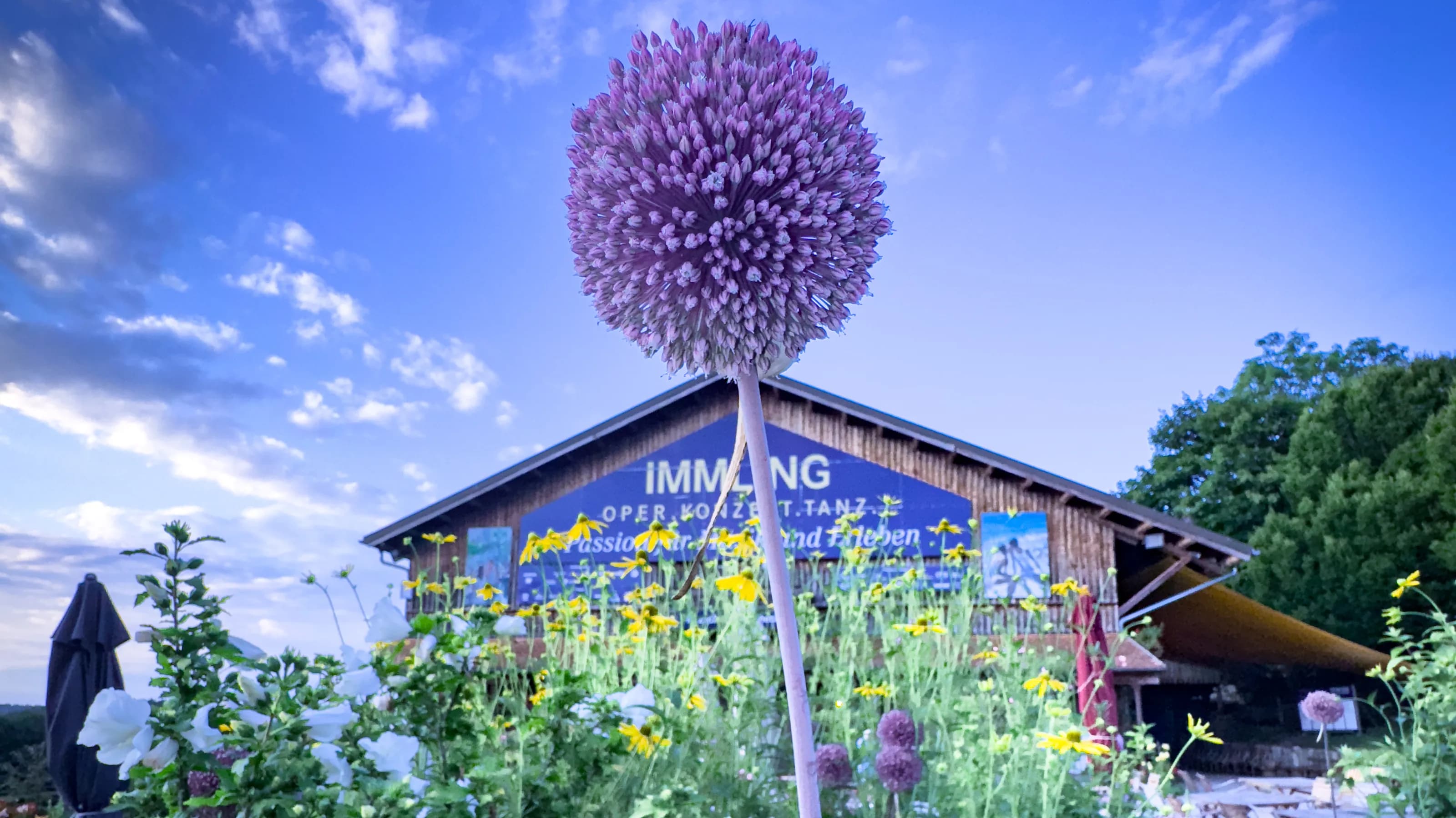 Immling Blumen